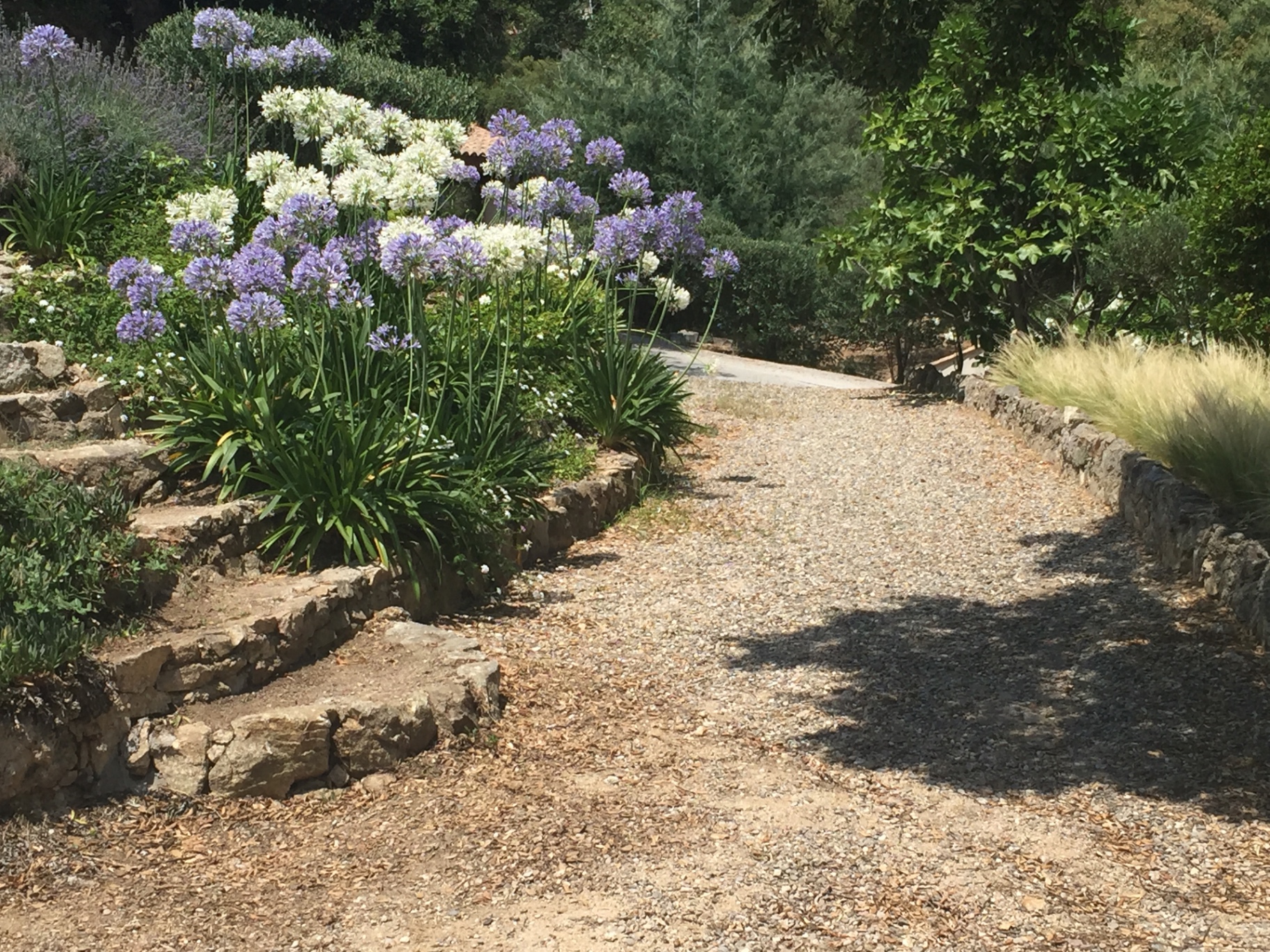 Jardin fleuri en escaliers