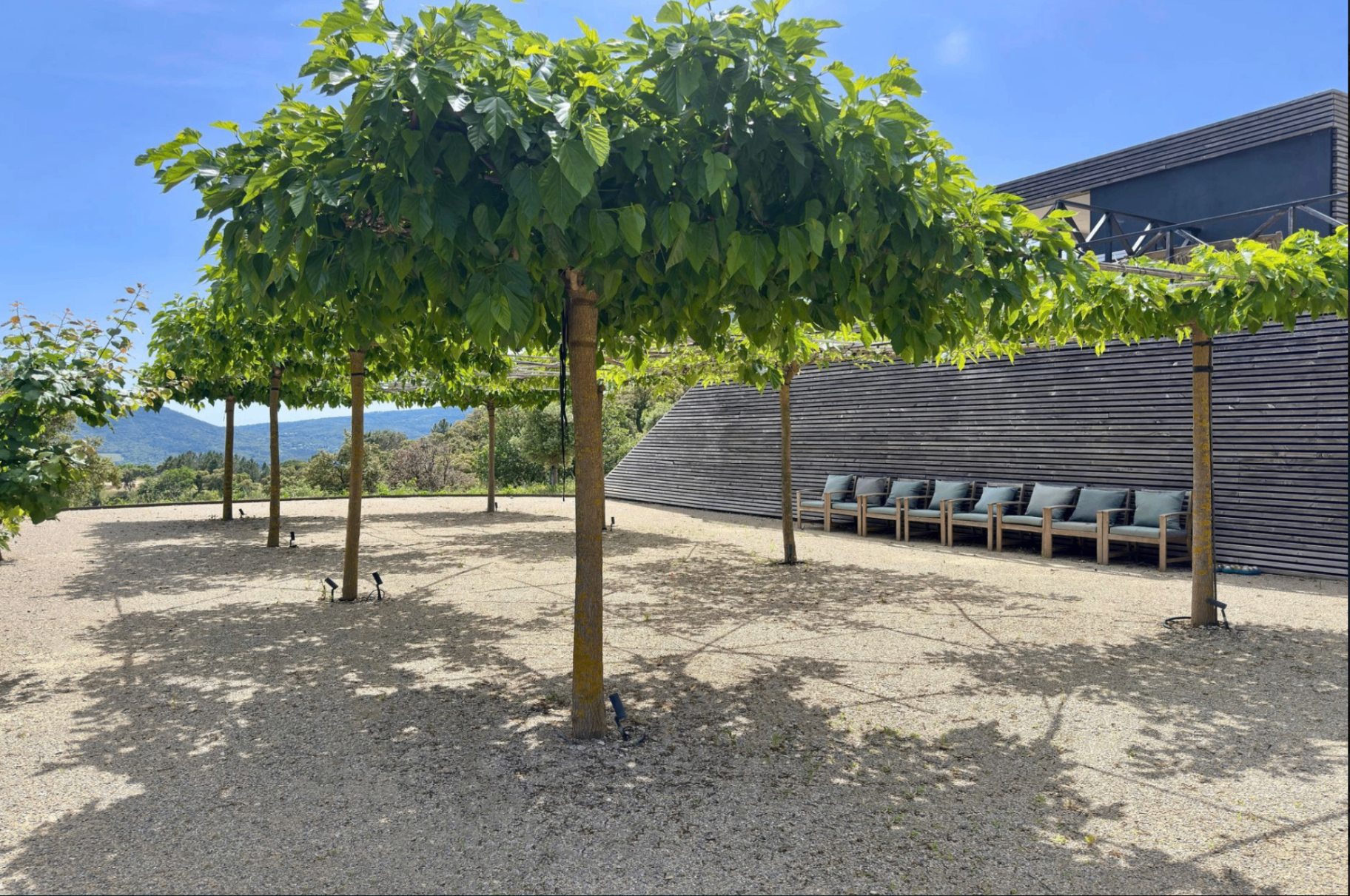 Terrain de pétanque ombragé par les mûriers-platanes avec banquette en bois